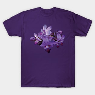 Orchids - Delicate Purple Orchids T-Shirt